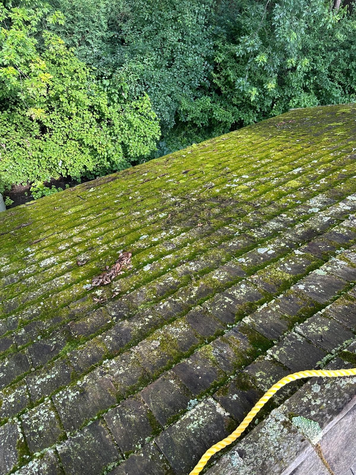 Cedar Shake Roof Cleaning & Maintenance